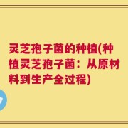 灵芝孢子菌的种植(种植灵芝孢子菌：从原材料到生产全过程)