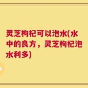 灵芝枸杞可以泡水(水中的良方，灵芝枸杞泡水利多)