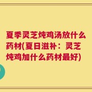 夏季灵芝炖鸡汤放什么药材(夏日滋补：灵芝炖鸡加什么药材最好)