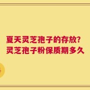 夏天灵芝孢子的存放？灵芝孢子粉保质期多久