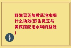 野生灵芝加黄芪泡水喝什么功效(野生灵芝与黄芪搭配泡水喝的益处)