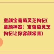 童颜宝葡萄灵芝枸杞(童颜神器：宝葡萄灵芝枸杞让你容颜常青)