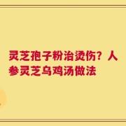 灵芝孢子粉治烫伤？人参灵芝乌鸡汤做法