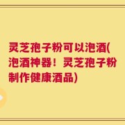 灵芝孢子粉可以泡酒(泡酒神器！灵芝孢子粉制作健康酒品)