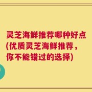 灵芝海鲜推荐哪种好点(优质灵芝海鲜推荐，你不能错过的选择)