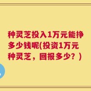 种灵芝投入1万元能挣多少钱呢(投资1万元种灵芝，回报多少？)