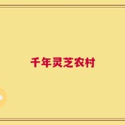 千年灵芝农村