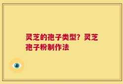 灵芝的孢子类型？灵芝孢子粉制作法