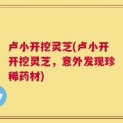 卢小开挖灵芝(卢小开开挖灵芝，意外发现珍稀药材)