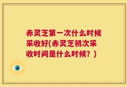 赤灵芝第一次什么时候采收好(赤灵芝初次采收时间是什么时候？)