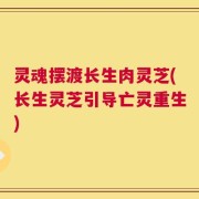灵魂摆渡长生肉灵芝(长生灵芝引导亡灵重生)