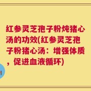 红参灵芝孢子粉炖猪心汤的功效(红参灵芝孢子粉猪心汤：增强体质，促进血液循环)