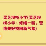 灵芝坝桥小学(灵芝坝桥小学：修缮一新，营造美好校园新气象)