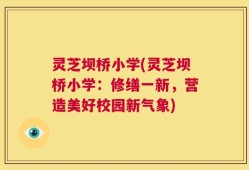 灵芝坝桥小学(灵芝坝桥小学：修缮一新，营造美好校园新气象)