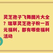 灵芝孢子飞舞图片大全？瑞草灵芝孢子粉一百元福利，都有哪些福利活动