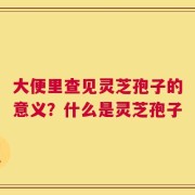 大便里查见灵芝孢子的意义？什么是灵芝孢子