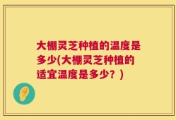 大棚灵芝种植的温度是多少(大棚灵芝种植的适宜温度是多少？)