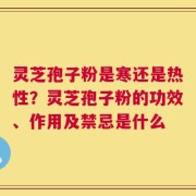 灵芝孢子粉是寒还是热性？灵芝孢子粉的功效、作用及禁忌是什么