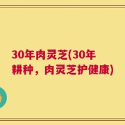 30年肉灵芝(30年耕种，肉灵芝护健康)
