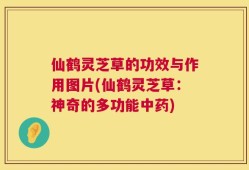 仙鹤灵芝草的功效与作用图片(仙鹤灵芝草：神奇的多功能中药)