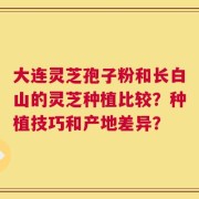 大连灵芝孢子粉和长白山的灵芝种植比较？种植技巧和产地差异？