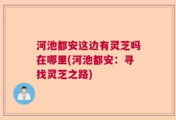 河池都安这边有灵芝吗在哪里(河池都安：寻找灵芝之路)
