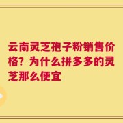 云南灵芝孢子粉销售价格？为什么拼多多的灵芝那么便宜