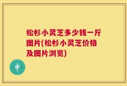 松杉小灵芝多少钱一斤图片(松杉小灵芝价格及图片浏览)