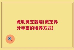 虎乳灵芝栽培(灵芝养分丰富的培养方式)