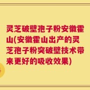 灵芝破壁孢子粉安徽霍山(安徽霍山出产的灵芝孢子粉突破壁技术带来更好的吸收效果)