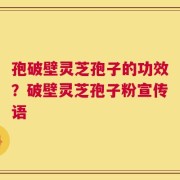 孢破壁灵芝孢子的功效？破壁灵芝孢子粉宣传语