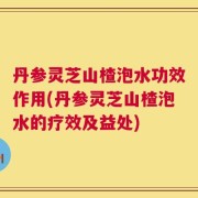 丹参灵芝山楂泡水功效作用(丹参灵芝山楂泡水的疗效及益处)