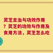 灵芝主治与功效作用 ？灵芝的功效与作用及食用方法，灵芝怎么吃