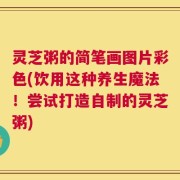 灵芝粥的简笔画图片彩色(饮用这种养生魔法！尝试打造自制的灵芝粥)