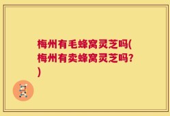 梅州有毛蜂窝灵芝吗(梅州有卖蜂窝灵芝吗？)