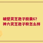 破壁灵芝孢子胶囊6？神六灵芝孢子粉怎么样