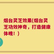 烟台灵芝效果(烟台灵芝功效神奇，打造健康体魄！)