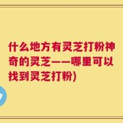什么地方有灵芝打粉神奇的灵芝——哪里可以找到灵芝打粉)