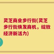 灵芝商业步行街(灵芝步行街焕发商机，绽放经济新活力)