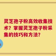 灵芝孢子粉高效收集技术？掌握灵芝孢子粉采集的技巧和方法？