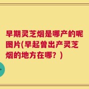 早期灵芝烟是哪产的呢图片(早起曾出产灵芝烟的地方在哪？)