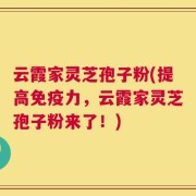 云霞家灵芝孢子粉(提高免疫力，云霞家灵芝孢子粉来了！)