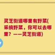 灵芝街道哪里有野菜(采摘野菜，你可以去哪里？——灵芝街道)