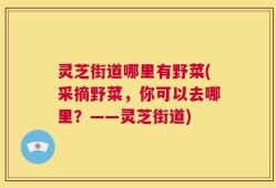 灵芝街道哪里有野菜(采摘野菜，你可以去哪里？——灵芝街道)