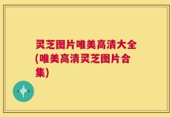 灵芝图片唯美高清大全(唯美高清灵芝图片合集)