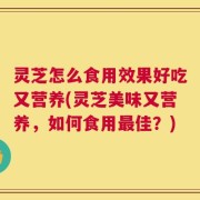 灵芝怎么食用效果好吃又营养(灵芝美味又营养，如何食用最佳？)