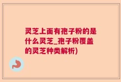 灵芝上面有孢子粉的是什么灵芝_孢子粉覆盖的灵芝种类解析)