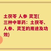 土茯苓 人参 灵芝(三种中草药：土茯苓、人参、灵芝的用途及功效)