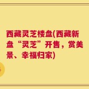 西藏灵芝楼盘(西藏新盘“灵芝”开售，赏美景、幸福归家)