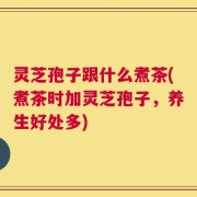 灵芝孢子跟什么煮茶(煮茶时加灵芝孢子，养生好处多)